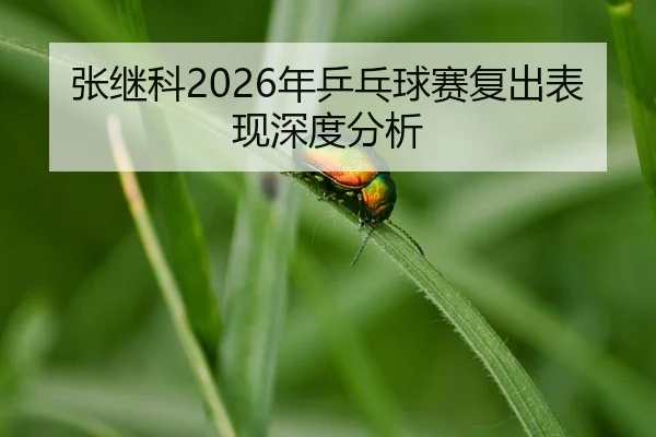 zhang-ji-ke-nian-ping-pang-qiu-sai-fu-chu-biao-xian-shen-du-fen-xi-2-842.jpg