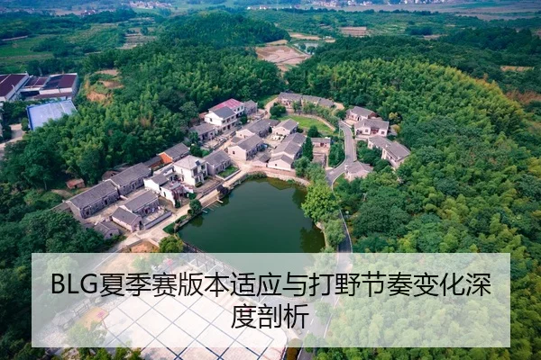 BLG夏季赛版本适应与打野节奏变化深度剖析