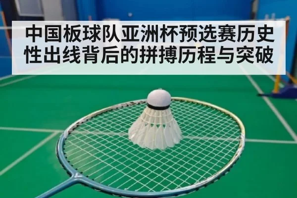 中国板球队亚洲杯预选赛历史性出线背后的拼搏历程与突破